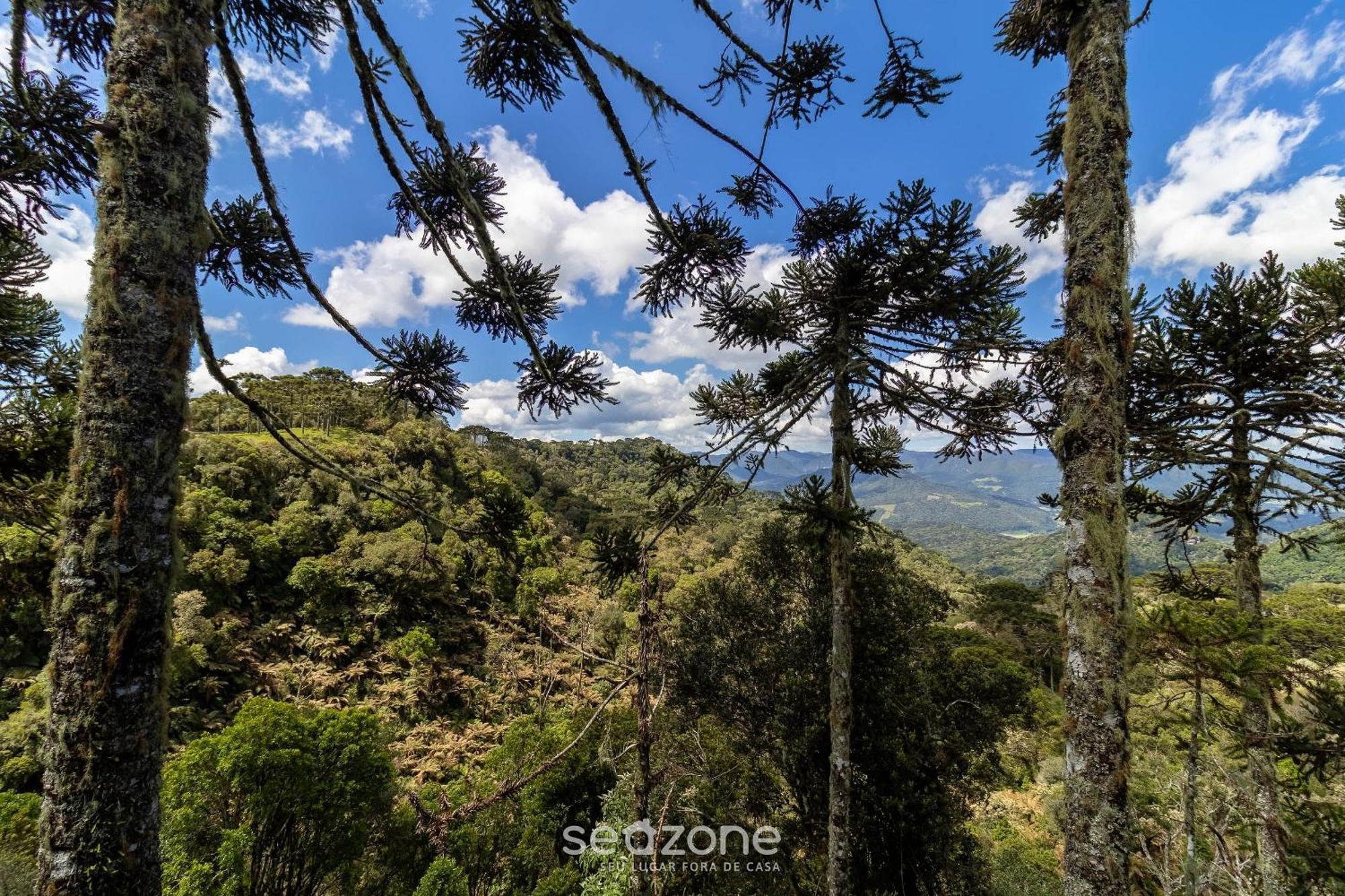 Chales Encantadores Em Urubici/Sc - Par Room photo